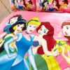 Decorative princess hotpink color bedding set 2