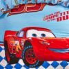 Disney Cars Movie Kids Bedding Set 2
