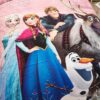 Disney Frozen Birthday Gift For Girls and Boys Bedding Set 3