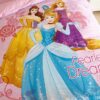Disney Princess girls room bedding Set 5