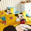 Mickey Mouse cool teen bedding Set 5