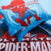 Super Hero Themed Spider Man Bedding Set 4