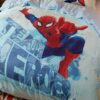 Team Heroes Spider Man Kids Bedding Set 4