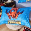 Visually Appearing Spider Man Super Hero Bedding Set 6