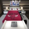 Chicago Bulls NBA Basketball Comforter 1