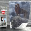 The Lion King 2019 Movie Simba Disney Shower Curtain