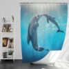 Dolphin Tale 2 Movie Bath Shower Curtain
