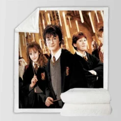 Harry Potter and the Chamber of Secrets Movie Sherpa Fleece Blanket